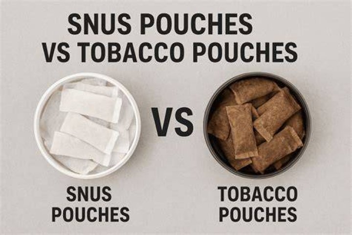 Are pouches the same as snus?