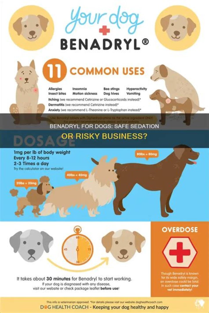 Can I use Benadryl to sedate my dog?