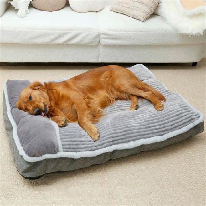 Can you use a pillow as a dog bed?