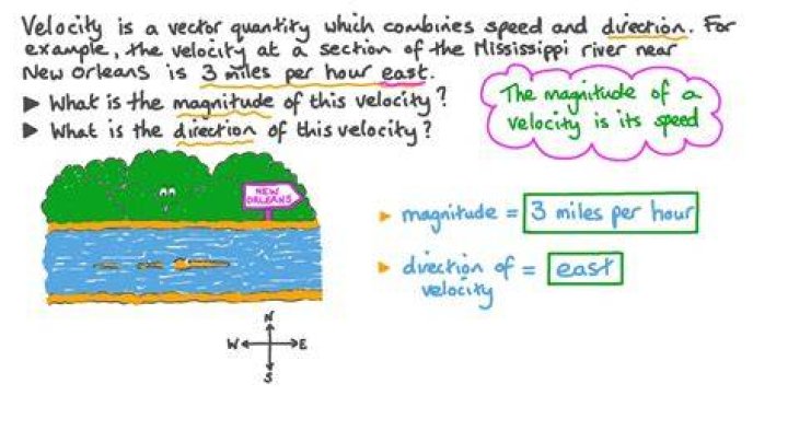 Does velocity have both magnitude and direction?