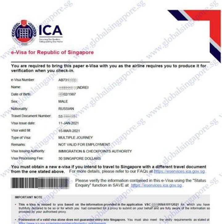 How can I apply for Singapore visa?