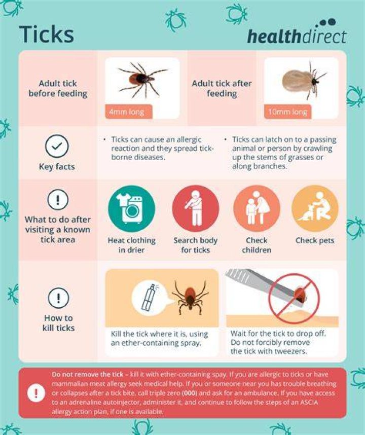 How can I protect my baby from ticks?