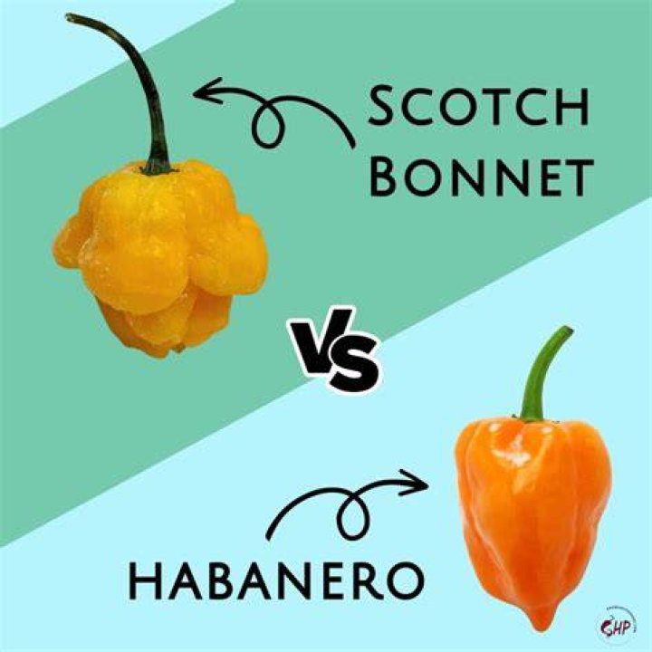 How can you tell the difference between a habanero and a Scotch bonnet?