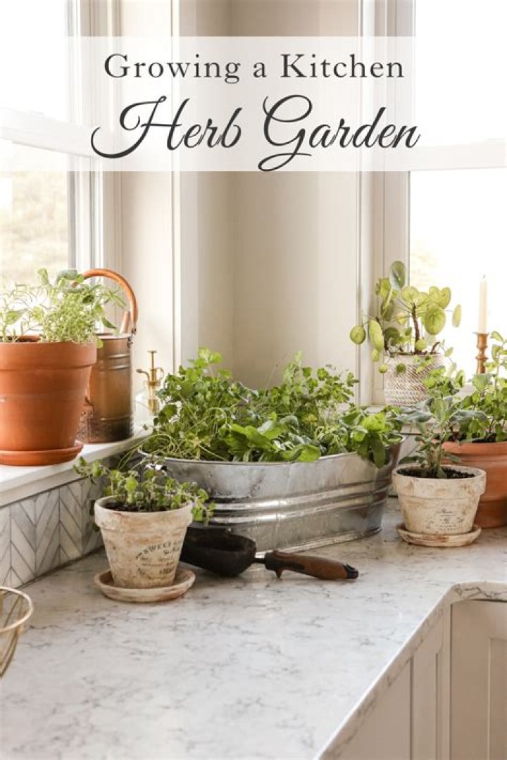 How do I grow an indoor kitchen herb garden?