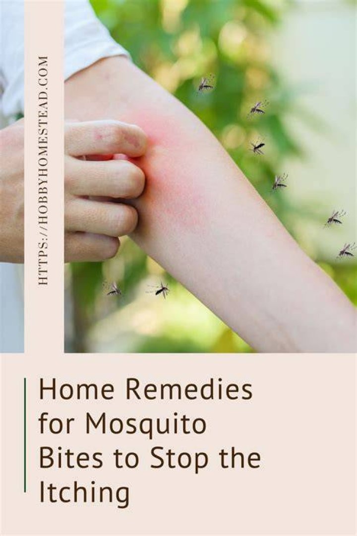 How do you stop mosquito bites from itching fast?