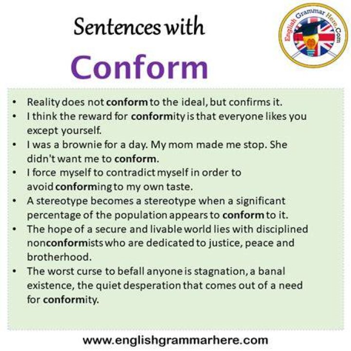 How do you use conform in a sentence?