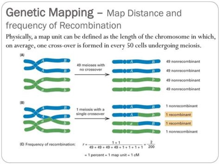 How does recombination frequency relate to gene mapping?