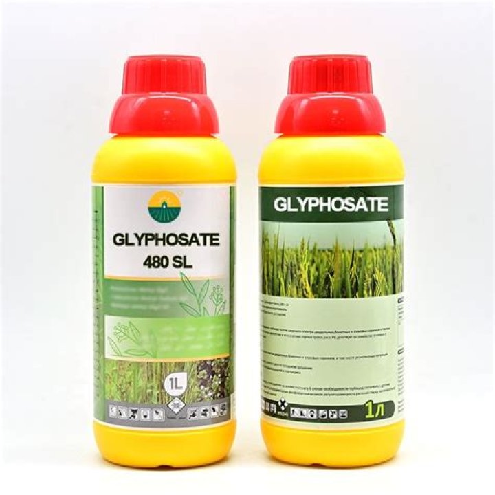 How long before rain can I spray glyphosate?