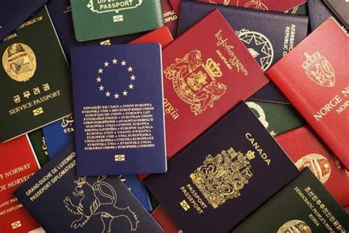 How many French citizens have passports?