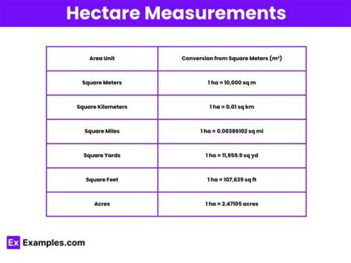 How many linear meters are in a hectare?