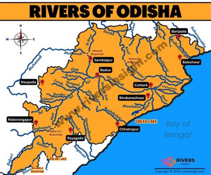 How many rivers are there in Odisha?