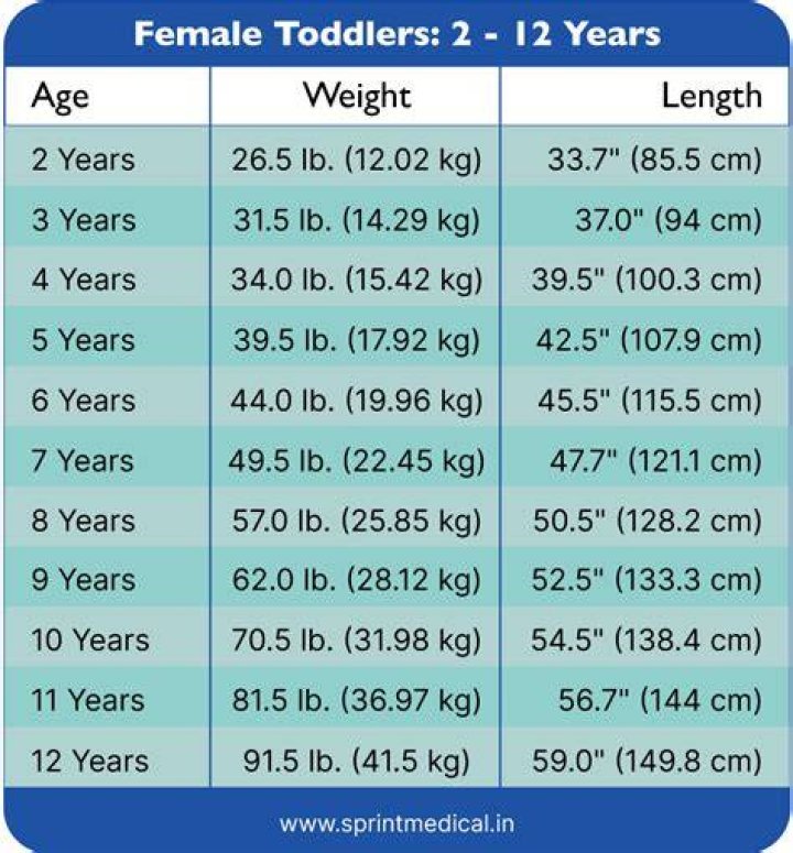 How much should a 2 year old weigh?