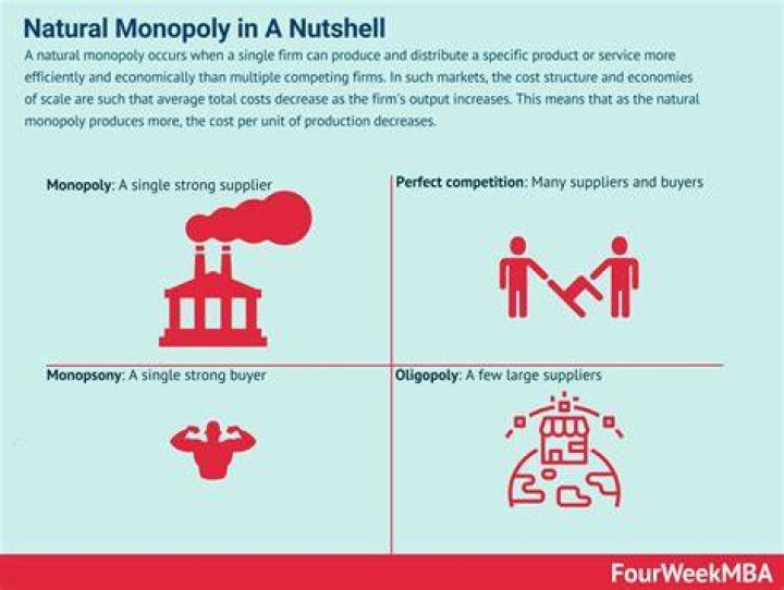 Is Amazon a natural monopoly?