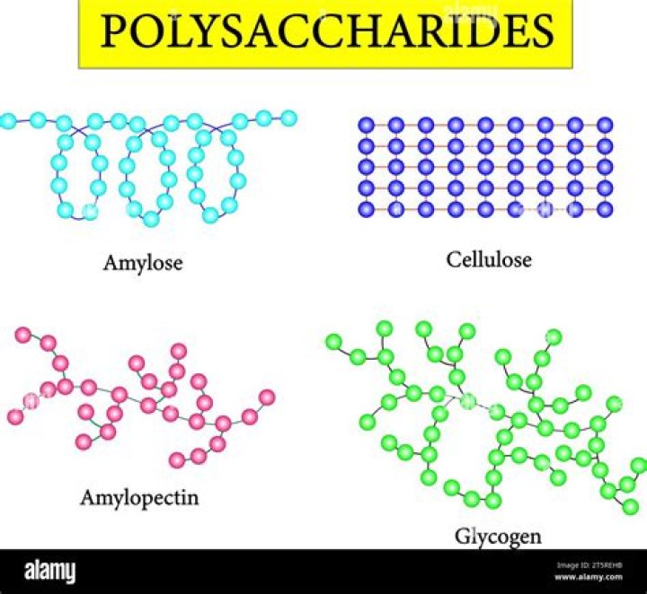 Is c6h12o6 a polysaccharide?