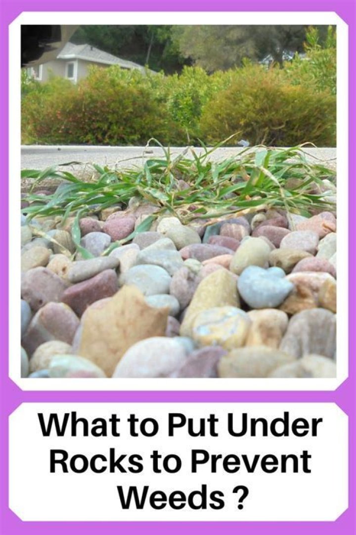 What can I put under my deck to prevent water?