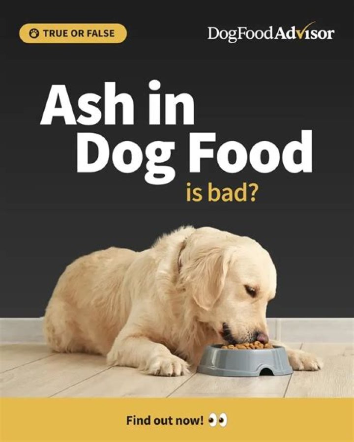 What does Ash do in dog food?