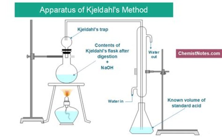 What does Kjeldahl method measure?