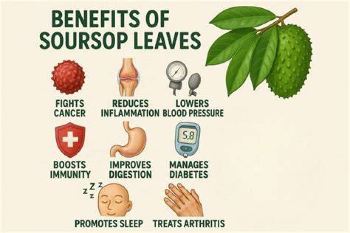 What does soursop do to the body?