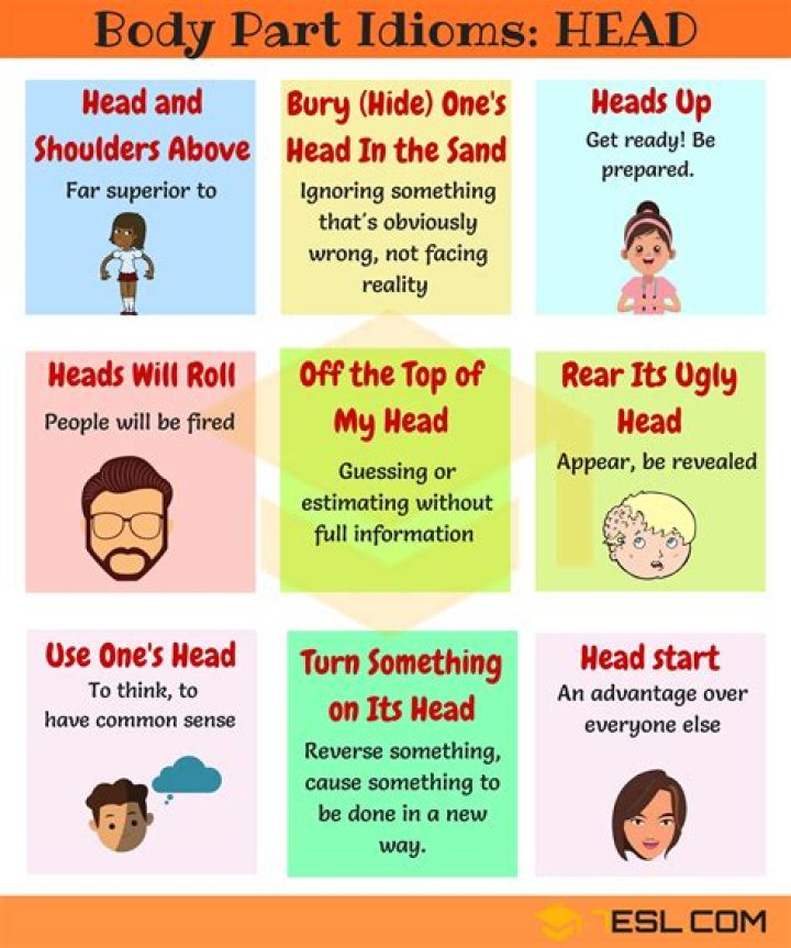 What does the idiom to get a fly in one's head mean?