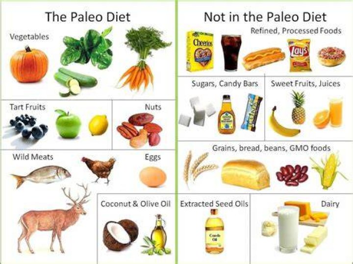 What does the Paleo diet consist of?