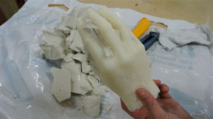 What is alginate mold?
