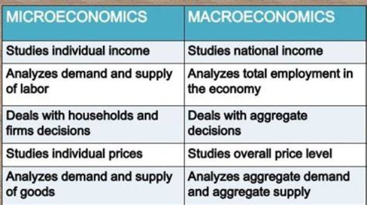 What is difference between micro & macro economics?
