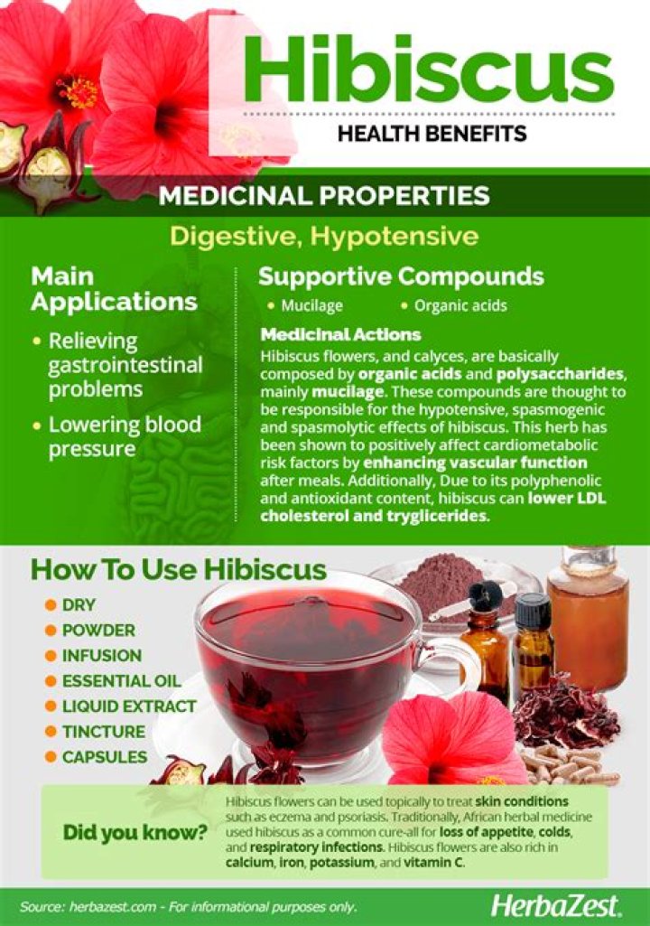 What is the economic importance of hibiscus?
