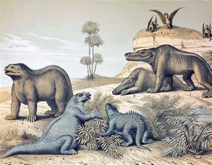 What is the history of dinosaurs?