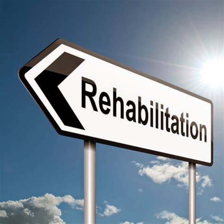 What is the mean of rehabilitation?