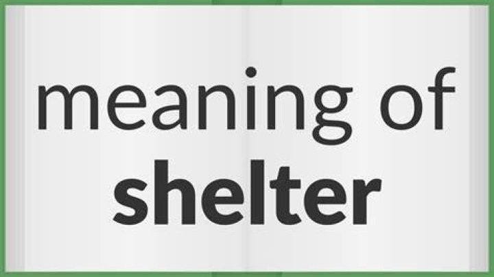 What is the mean of shelter?