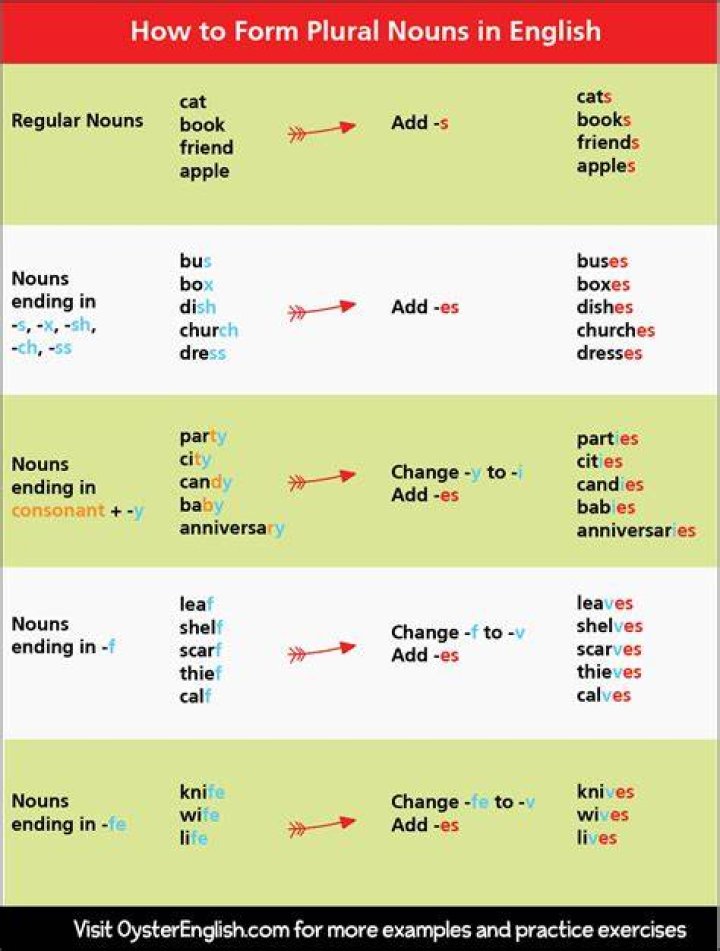 What is the plural form of the word pancreas?