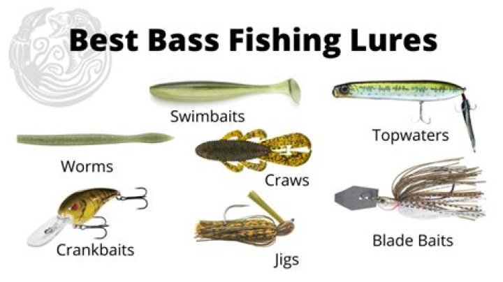 What lure works best for bass?