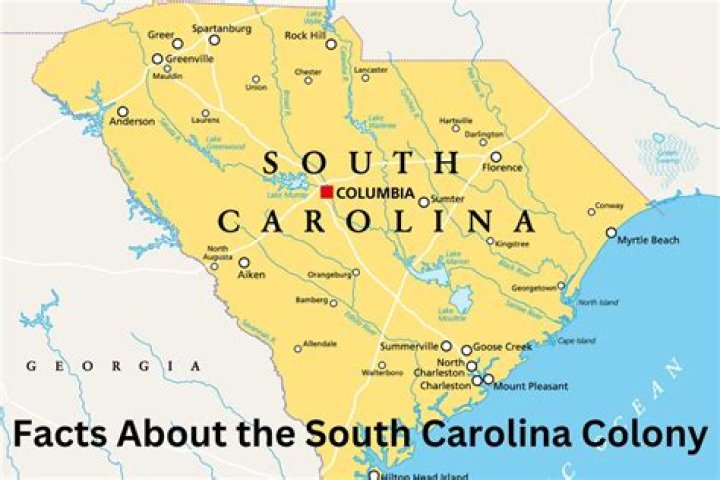 What was the government like in South Carolina colony?