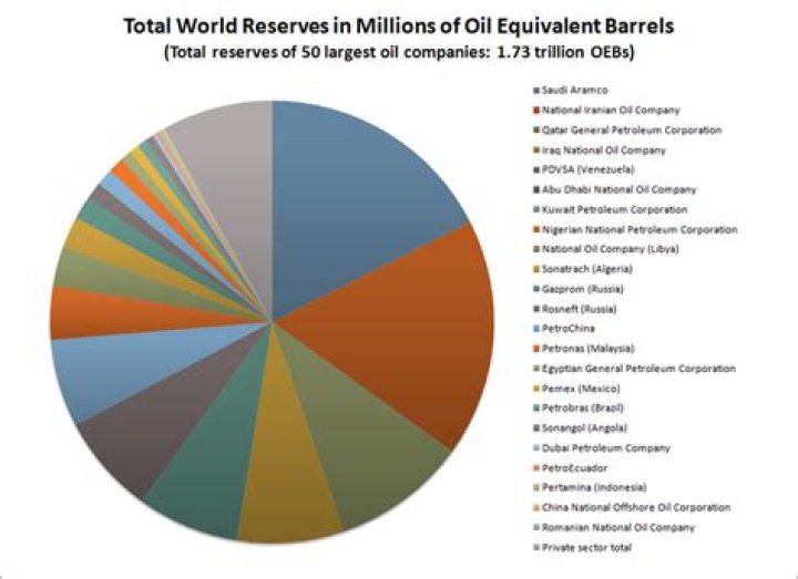 What was the largest privately owned company in the world in 1865?