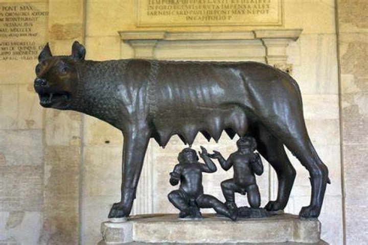 What was the name of the wolf in Romulus and Remus?