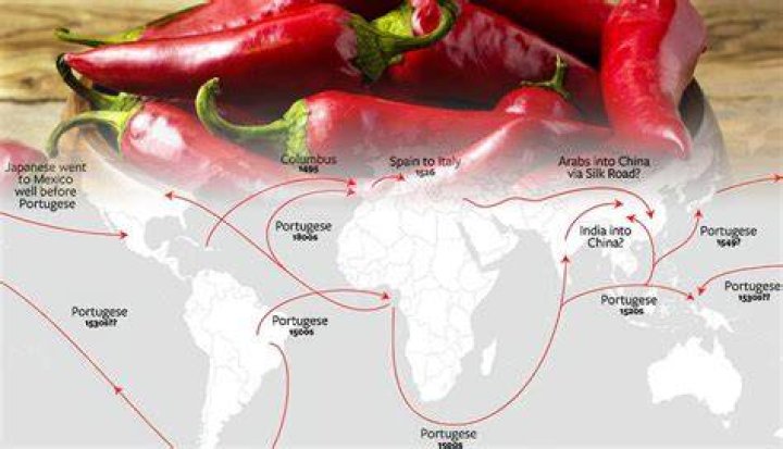 Where did peppers originate? | ContextResponse.com