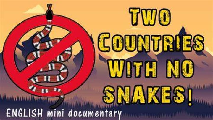 Which countries have no snakes?