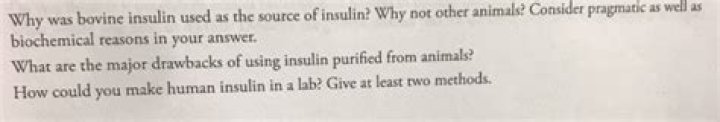 Why was bovine insulin used as a source of insulin?